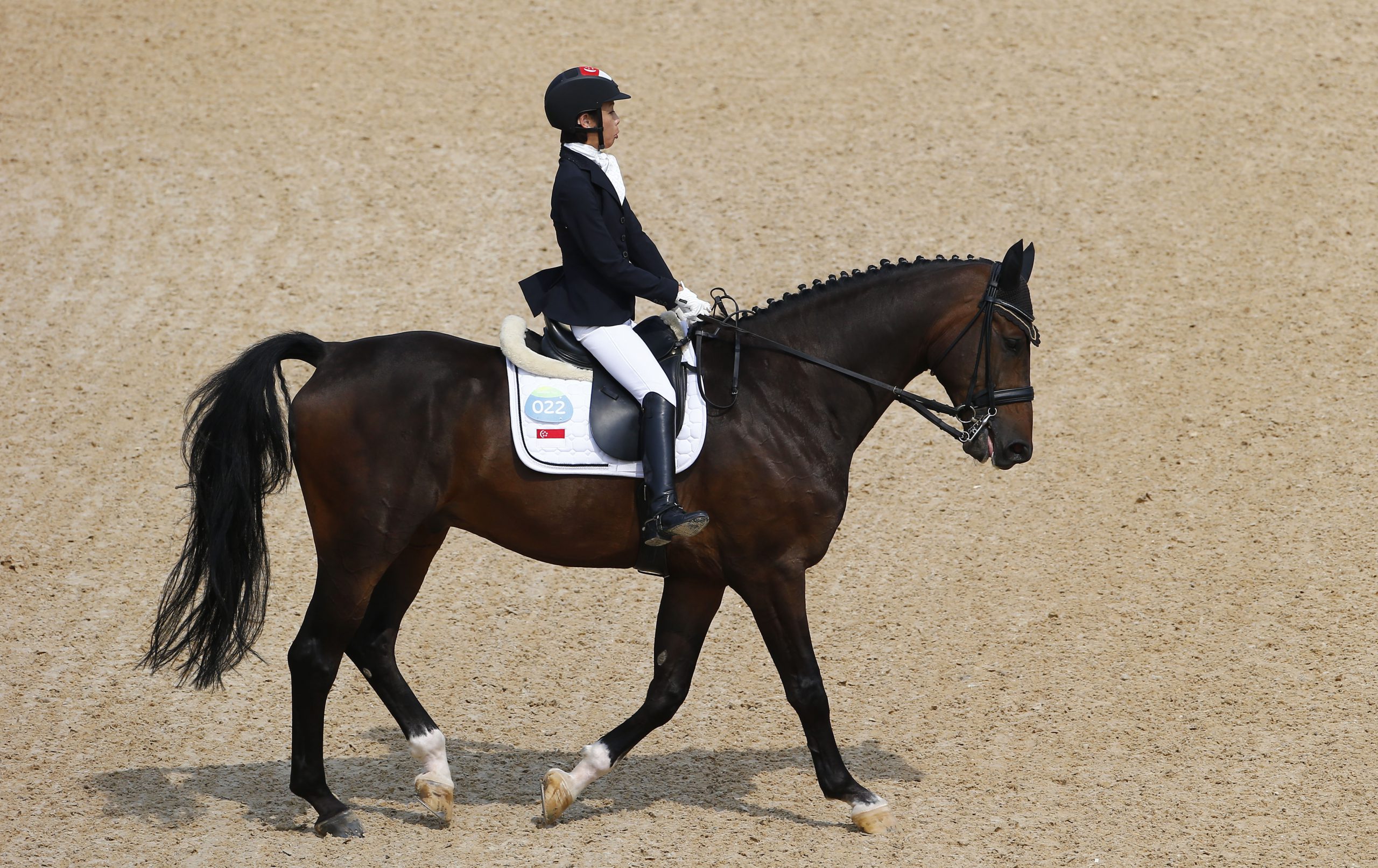 North Carolina lands 2018’s World Equestrian Games SportsPro