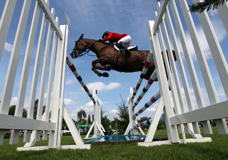 The FEI World Equestrian Games a shop window for a genderequal sport